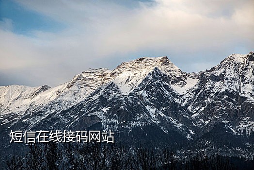 手机号码接码34个