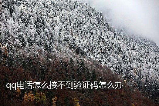 实名认证过的手机号码接码