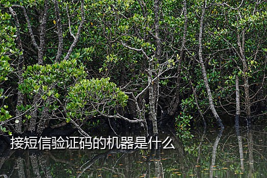 实卡认证手机号接码