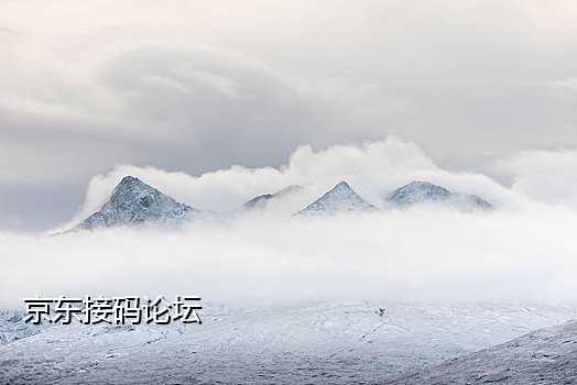 实卡接码短信