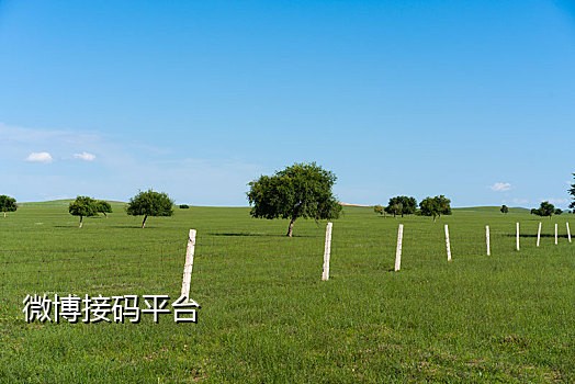 神话手机接码平台