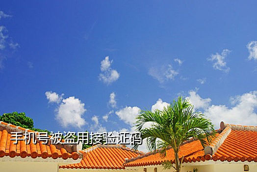 苹果可以用的接码软件