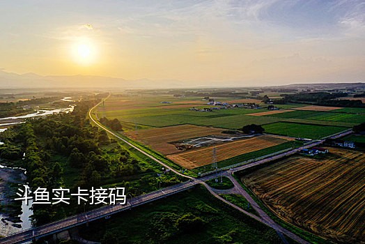 苹果版本接码平台
