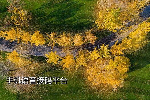 苹果qq电话接不到验证码怎么办