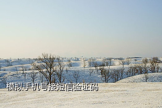 soul账号注册 接码平台