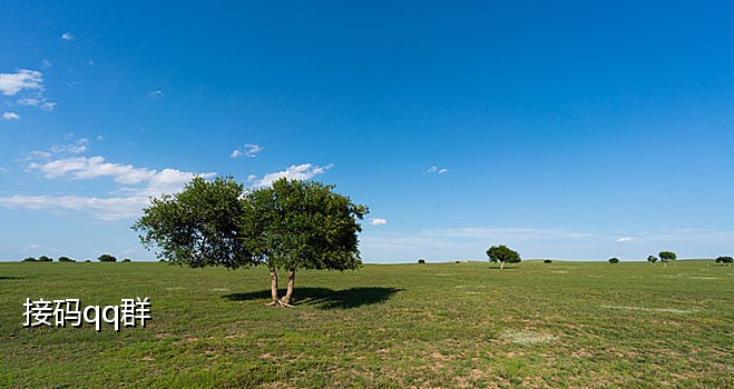 免费接码的手机号有话费吗