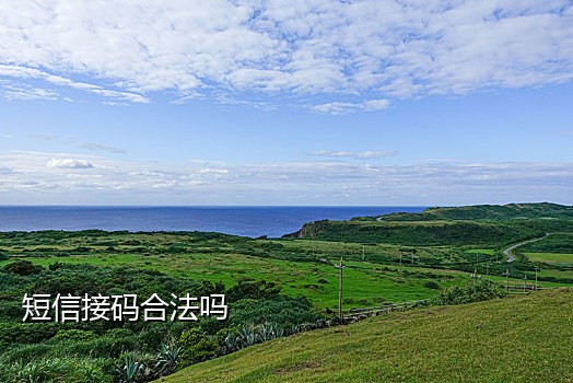 免费的手机接码软件