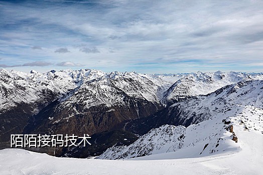 美国探探接码