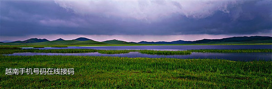 美国手机接验证码平台