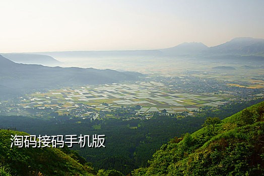 美国手机号怎么接码