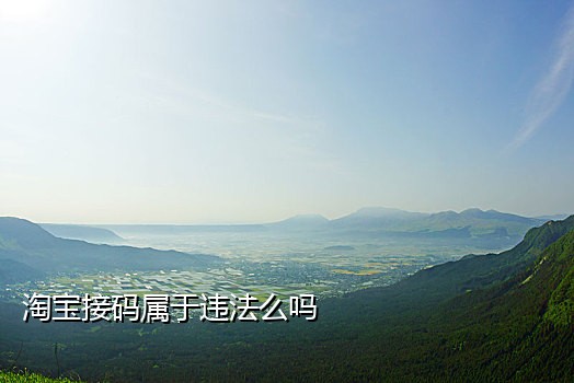 手机卡丢了怎么接验证码