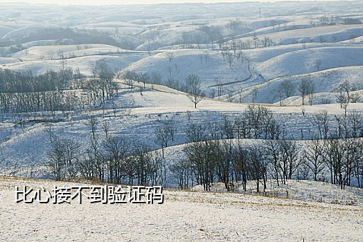 联通短信接码平台