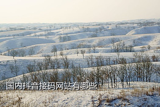快手极速版接码机