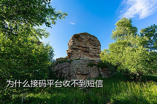 qq申请接码平台