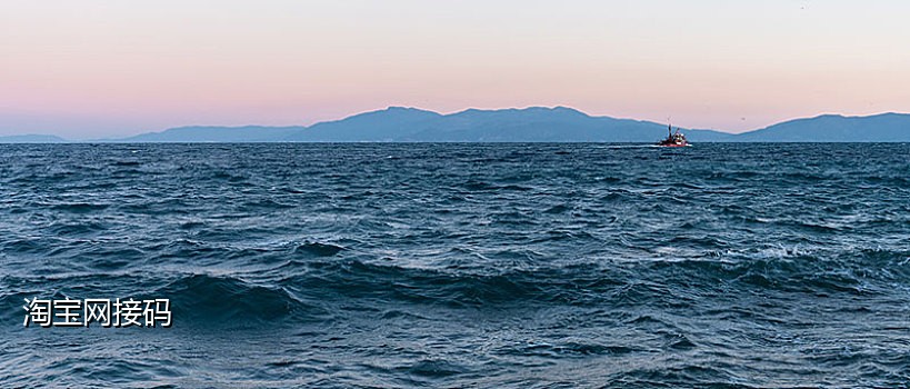 可乐接短信验证码安卓版