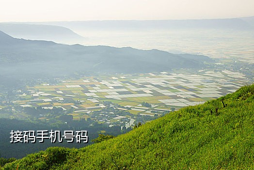 京东接收不到验证码