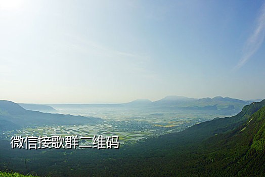 接码网站收不到短信怎么办