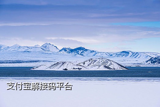 手机接证码是什么