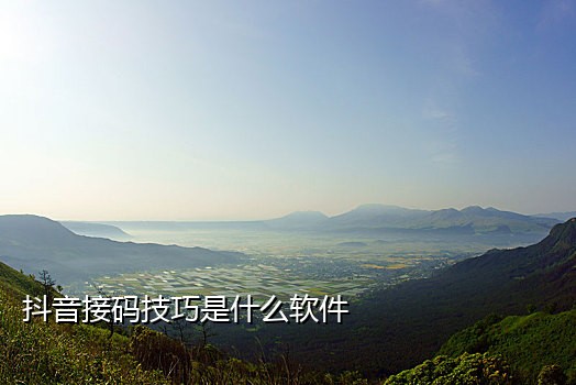 接码奇抖音号注册