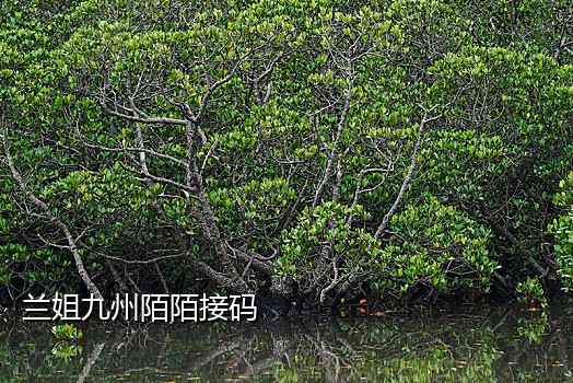 接码平台有能注册qq的吗