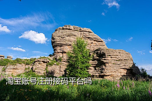 接码平台有短信吗