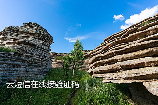 接码平台为什么收不到短信