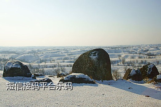 接码平台锁定手机号
