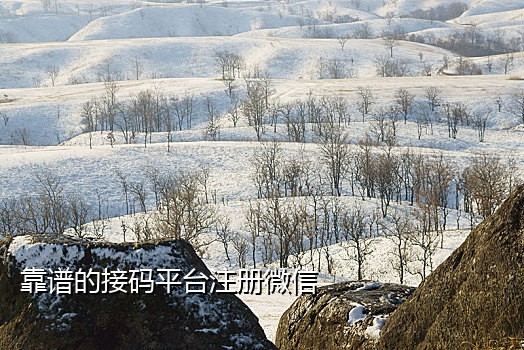 接码平台可以注册微博