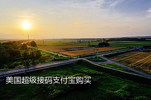 接码号抖音价格