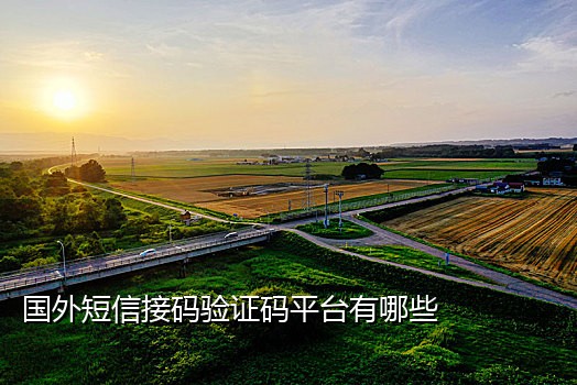 接码短信流程图片模板下载