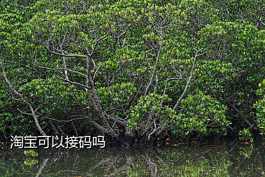 接码登录微信 赚客