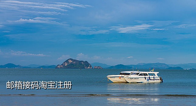 接国际短信验证码平台