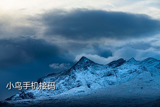 接饿了么验证码卡盟