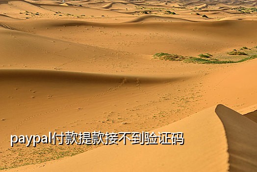 极码接码最新版手机版