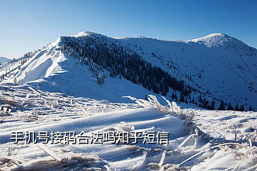 韩国手机接码