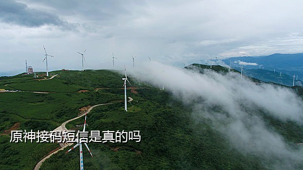 还能发短信的接码平台