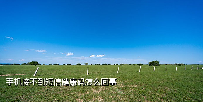 国外手机号接码网站是多少