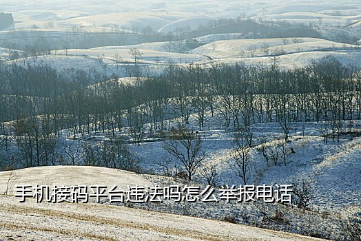 国外短信接码平台