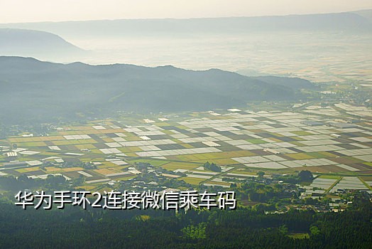 飞狗短信接码吧