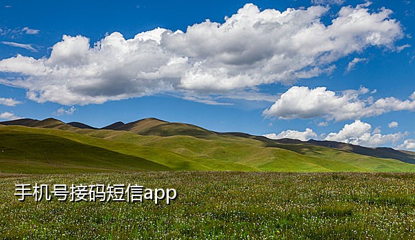 饿了么想接就接码