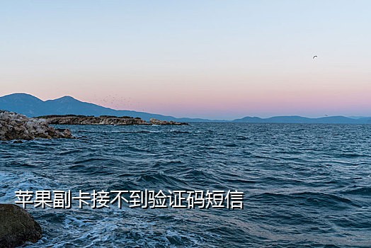 短信接验证码平台app