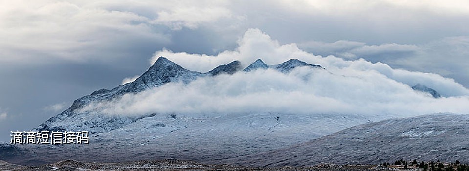 短信接码助手在线平台