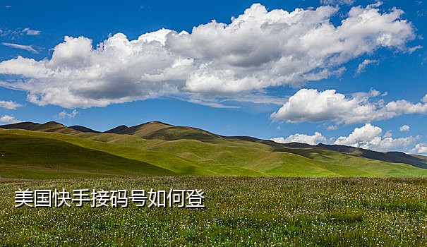 短信接码手机