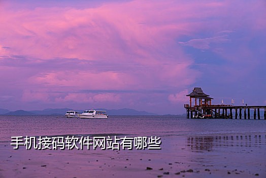 短信接码平台靠什么经营