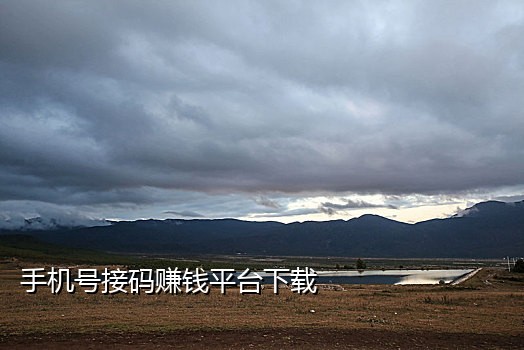 短信接码麦当劳