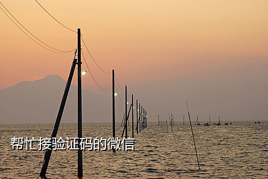 短信接码供应商是真的吗