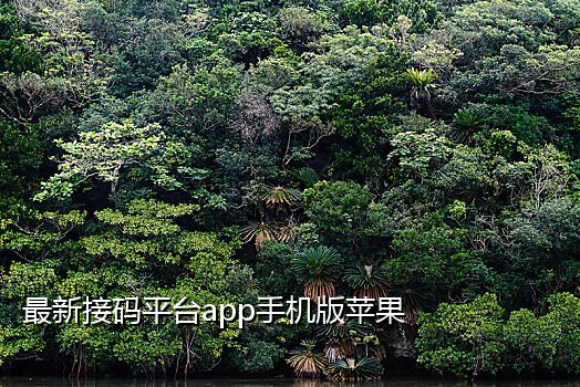 抖音接码上号商