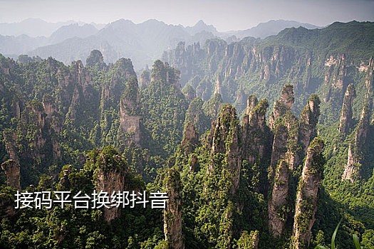 抖音接码平台推荐