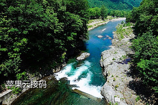 抖音接码号要怎么养