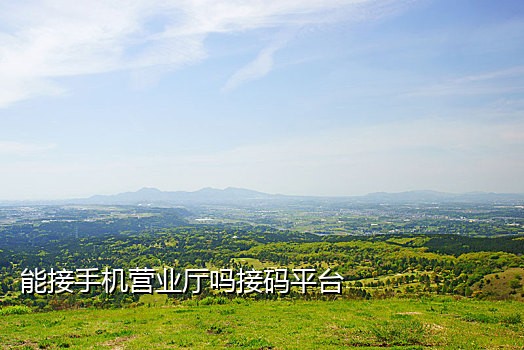 点淘接码
